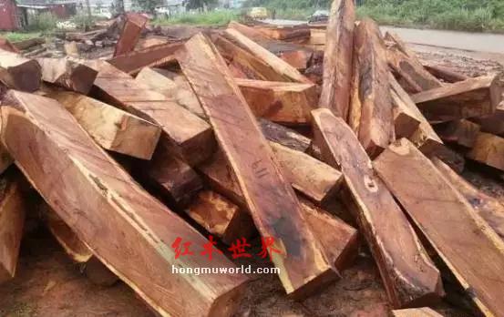 红木中的平民对决 缅甸大果紫檀材质好还是刺猬紫檀材质好？-2