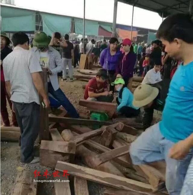 从荷枪实弹轮班值守，看红木原材价格上涨-2