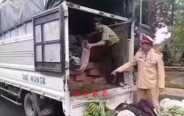 从荷枪实弹轮班值守，看红木原材价格上涨-7