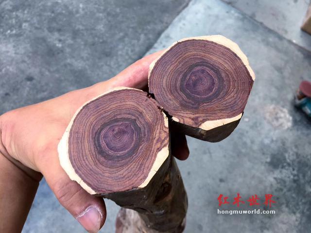 黄花梨还在涨吗？为什么还会频繁出现玩家赌料？-2