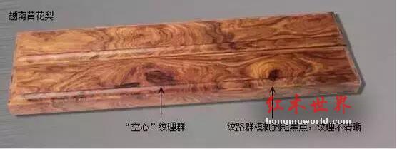 海南黄花梨与越南黄花梨的黑色素鉴别-3
