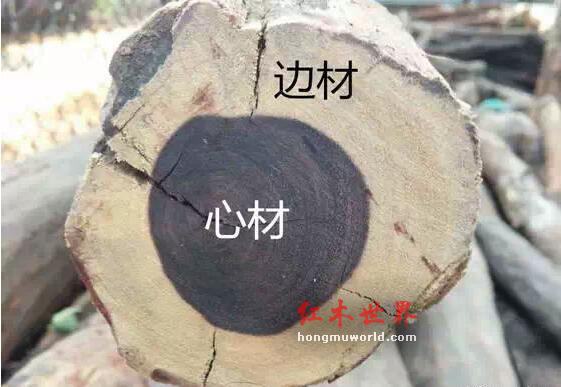 红木造假又创新——“碳化”，白皮分分钟变红木！-1