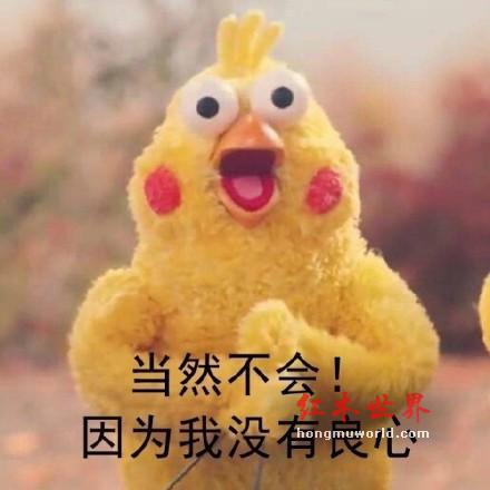 红木家具如此造假，你的良心不会痛么？-2