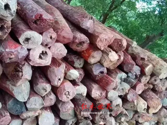 红木家具造假的基本手段！-2