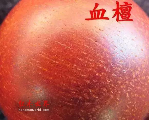 有效的鉴别紫檀和血檀的方法是什么？-1