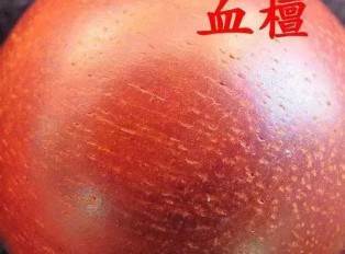 有效的鉴别紫檀和血檀的方法是什么？