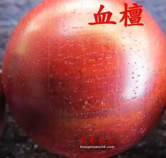 有效的鉴别紫檀和血檀的方法是什么？-3