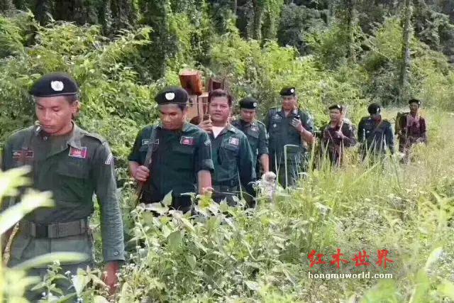 大红酸枝已无大料，大红酸枝家具必将进入“定制化”时代-2