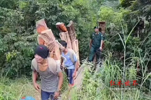 大红酸枝已无大料，大红酸枝家具必将进入“定制化”时代-3