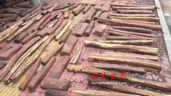 大红酸枝已无大料，大红酸枝家具必将进入“定制化”时代-13