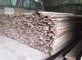 金丝楠木和桢楠的“家谱”