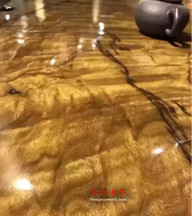金丝楠木和桢楠的“家谱”-9
