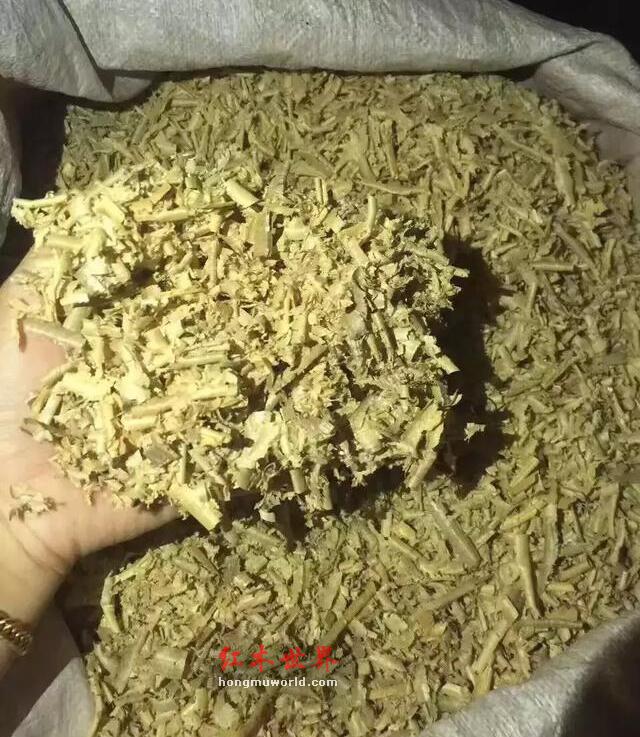 金丝楠木和桢楠的“家谱”-12