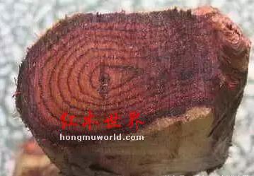 “闻香识红木”：红木老司机标准-1