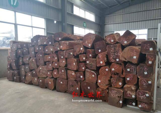 原木市场分析：珍稀红木价格高位运行 满洲里口岸原木货源充足-2