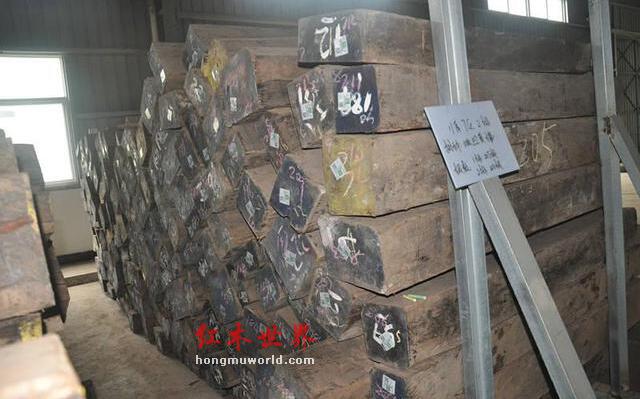 原木市场分析：珍稀红木价格高位运行 满洲里口岸原木货源充足-3