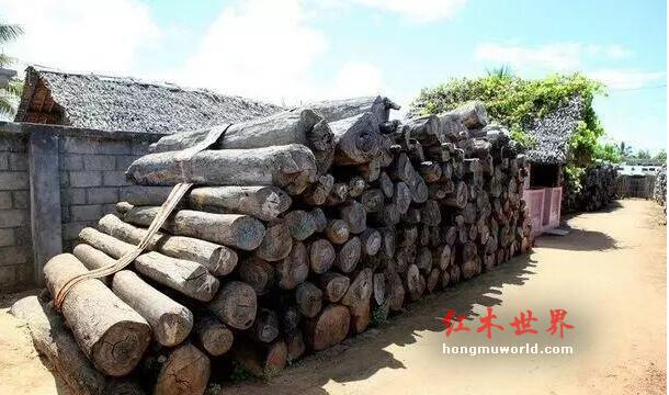 红木百科--大叶紫檀（卢氏黑黄檀）-2