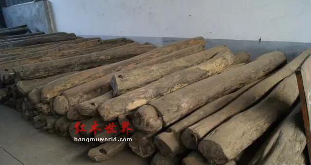 红木百科--大叶紫檀（卢氏黑黄檀）-4