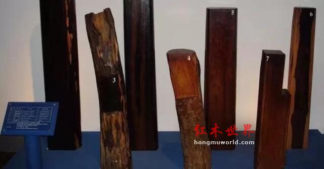 红木百科--大叶紫檀（卢氏黑黄檀）-9