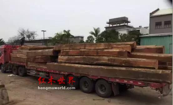红木原材行情走势周评，红木家具行情好转？-3