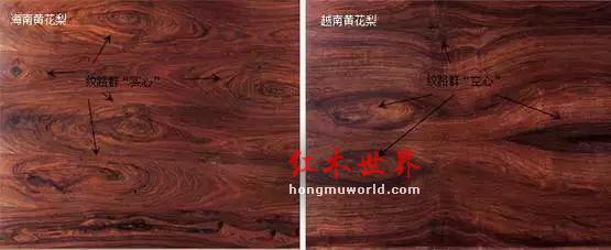 科普：多图识别海南黄花梨与越南黄花梨-6