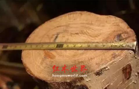 红木资深玩家: