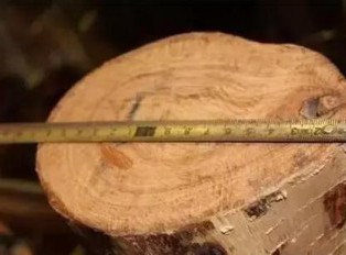 红木资深玩家: