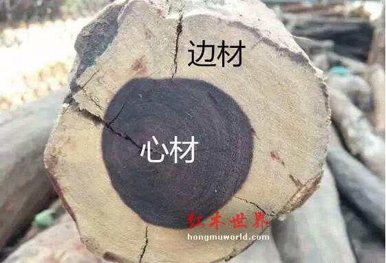 全国45％的红木家具官司都因-3