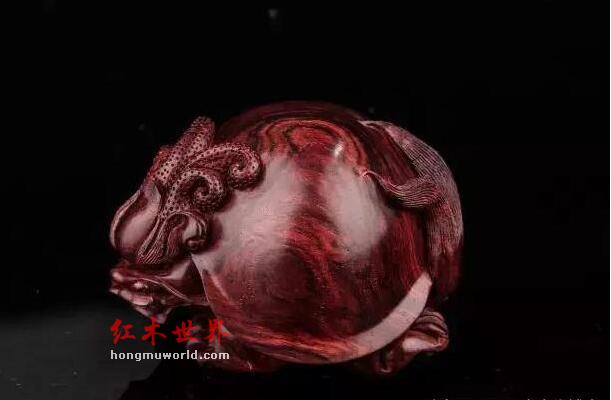 “贵州黄花梨”：海黄界的又一李鬼-3