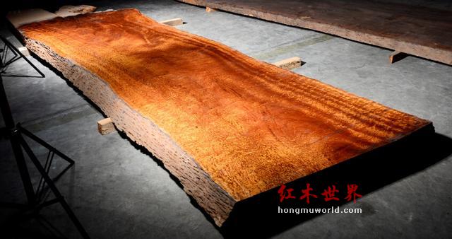 金丝楠的“九问”-4