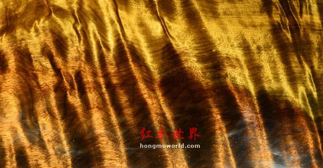 金丝楠的“九问”-2