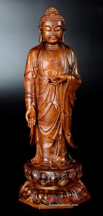 金丝楠的“九问”-9