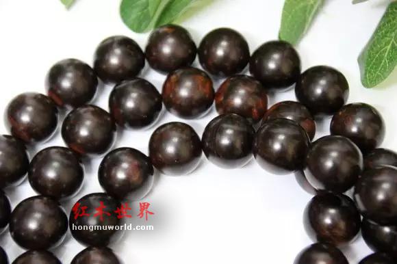 关于海黄油梨的分类-4