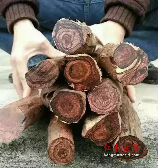 这种假海南黄花梨手串，老司机都要中招！-3