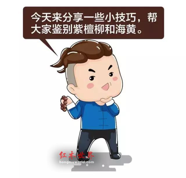 “紫檀柳”vs“海南黄花梨”-1