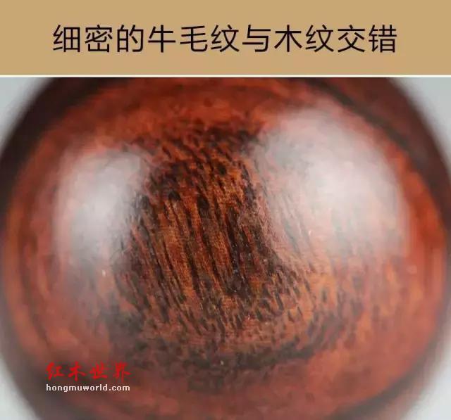 “紫檀柳”vs“海南黄花梨”-10