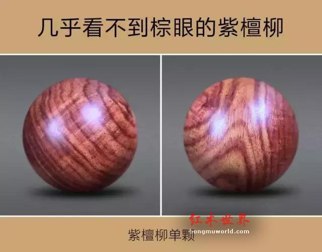 “紫檀柳”vs“海南黄花梨”-7
