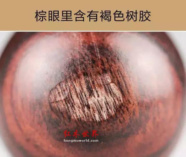 “紫檀柳”vs“海南黄花梨”-9