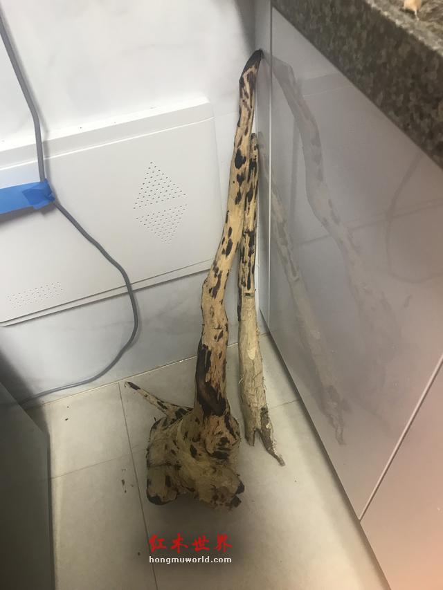 福利篇：一条极品海南黄花梨手串的加工过程-1