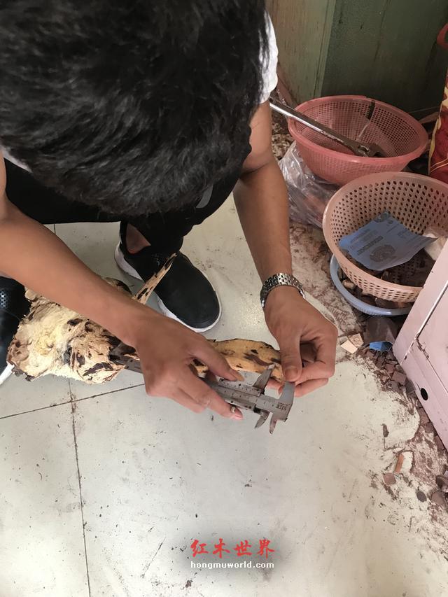 福利篇：一条极品海南黄花梨手串的加工过程-3