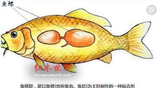 红木家具的最大误区——不上胶-2
