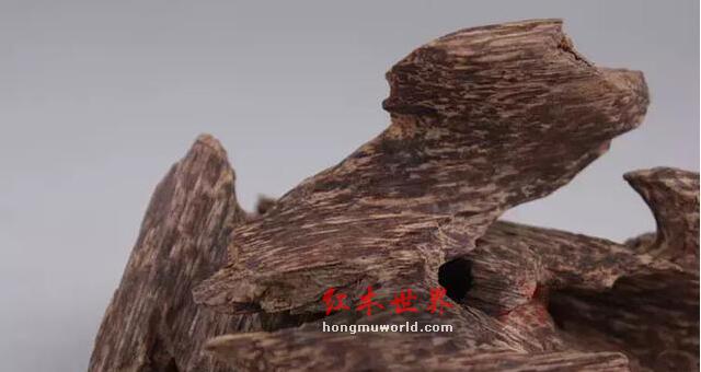 红木之中的暗藏名贵药材，难怪红木工艺品那么“养人”-1