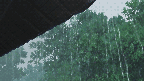又是一年梅雨季，红木家具该如何“防潮”？-1