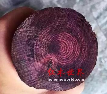 关于黄花梨老料与新料的一些知识-2