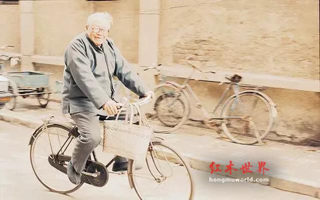 红木国标的由来，红木史上著名的“胡杨之争”-5