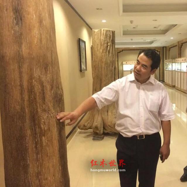 我不是红木家具的药神——《中国红木家具消费指南》主编纪亮专访-9