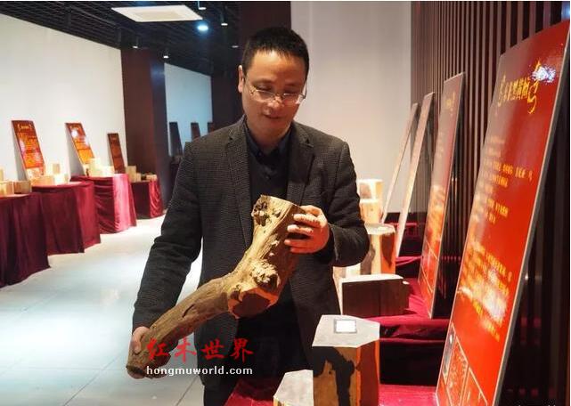 我不是红木家具的药神——《中国红木家具消费指南》主编纪亮专访-13