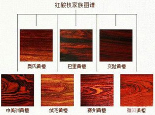 干货｜鉴别红酸枝