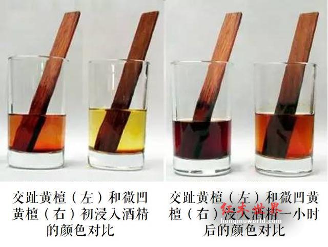 干货｜鉴别红酸枝-4