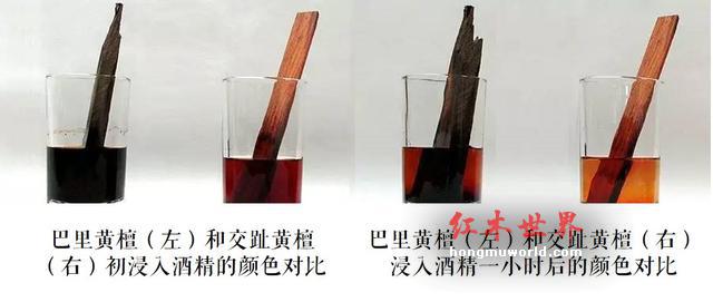干货｜鉴别红酸枝-2